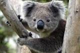 Australia - 01.jpg