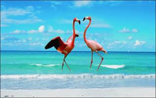 C:\Documents and Settings\manager09.PITERTOUR.001\Мои документы\Страны главные\Куба\Рассылка\r42.jpg