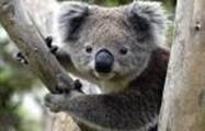 Australia - 01.jpg