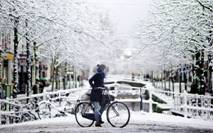 http://www.holland.com/upload_mm/4/a/f/21518_fullimage_woman_on_bike_on_canal_bridge_in_snowy_amsterdam_560x350.jpg