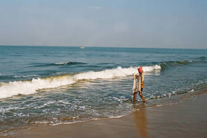 http://img4.tourbina.ru/photos.3/8/6/866411/normal.photo/Negombo-utro-okolo-7.jpg