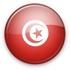http://dinasta.by/images/stories/tour/tunisia/flag.jpg