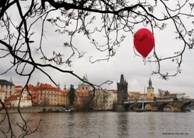 1241108619_follow_me_by_ahermin