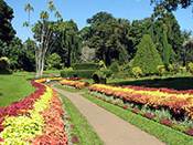 ��������: 4