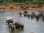 ��������: 1