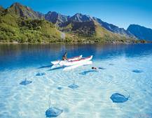 cid:image013.jpg@01CE0EB7.9BE2A910