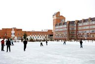 Каток