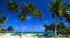 Bacardi-beach-cayo-levantado-dominican-republic