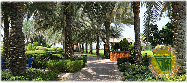 акция на туры в шарджу