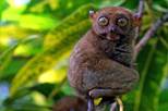 cid:image007.jpg@01CF78E4.8D552D80