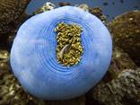 cid:image035.jpg@01CF78E4.8D552D80