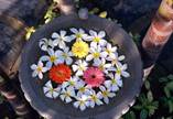 cid:image053.jpg@01CF78E4.8D552D80