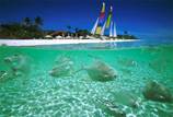 cid:image056.jpg@01CF78E4.8D552D80