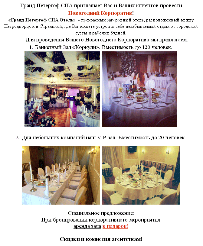 Новый Год В Отеле Петергоф Новый Год В Отеле Петергоф